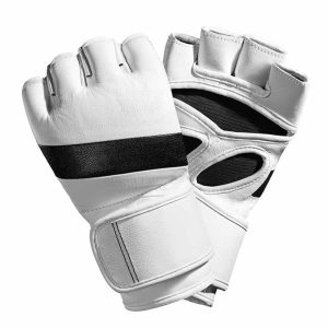 Aero's  HybridForce MMA-Gloves